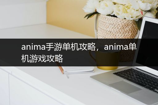 anima手游单机攻略，anima单机游戏攻略