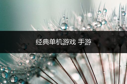 经典单机游戏 手游