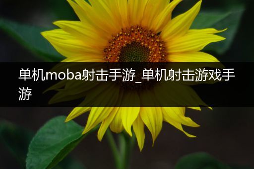 单机moba射击手游_单机射击游戏手游