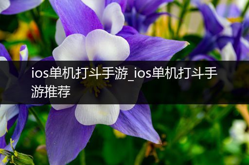 ios单机打斗手游_ios单机打斗手游推荐