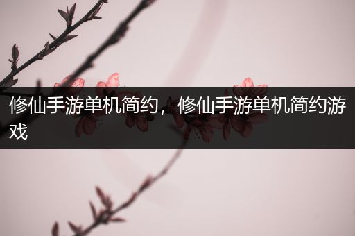 修仙手游单机简约，修仙手游单机简约游戏