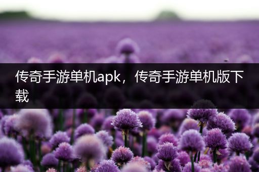 传奇手游单机apk，传奇手游单机版下载