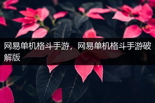 网易单机格斗手游，网易单机格斗手游破解版