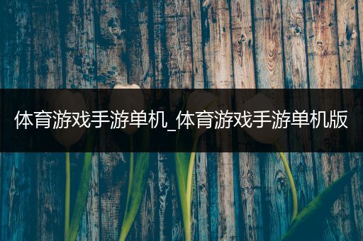 体育游戏手游单机_体育游戏手游单机版