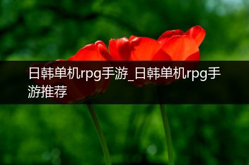 日韩单机rpg手游_日韩单机rpg手游推荐