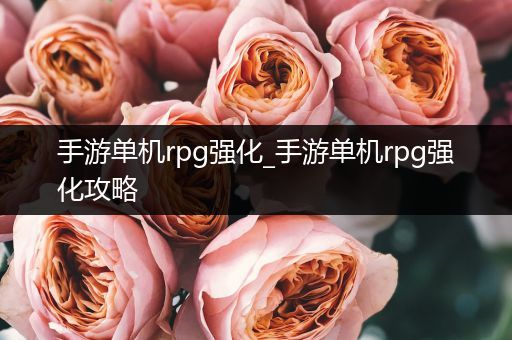 手游单机rpg强化_手游单机rpg强化攻略