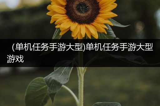 （单机任务手游大型)单机任务手游大型游戏