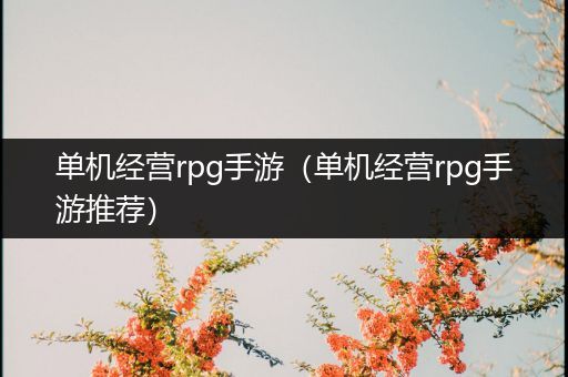 单机经营rpg手游（单机经营rpg手游推荐）