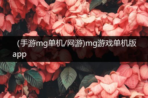 （手游mg单机/网游)mg游戏单机版app