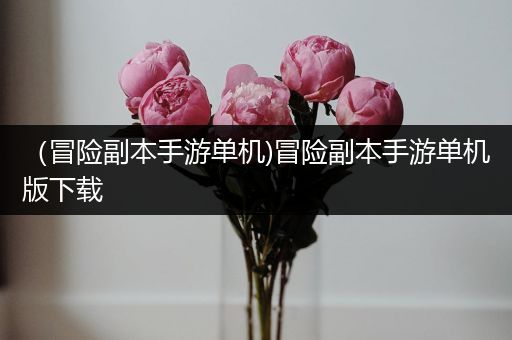 （冒险副本手游单机)冒险副本手游单机版下载