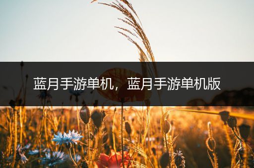 蓝月手游单机，蓝月手游单机版