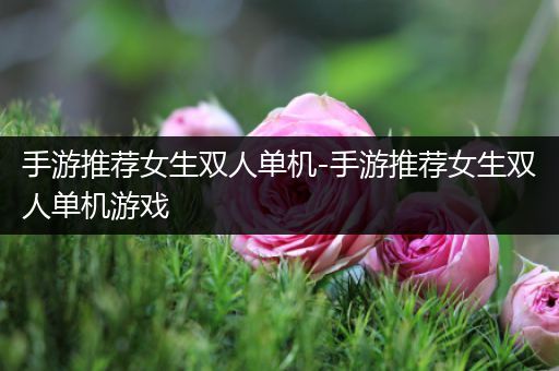 手游推荐女生双人单机-手游推荐女生双人单机游戏