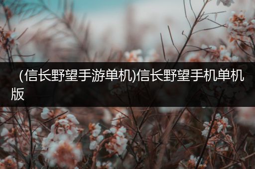 （信长野望手游单机)信长野望手机单机版