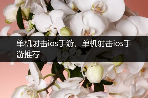 单机射击ios手游，单机射击ios手游推荐