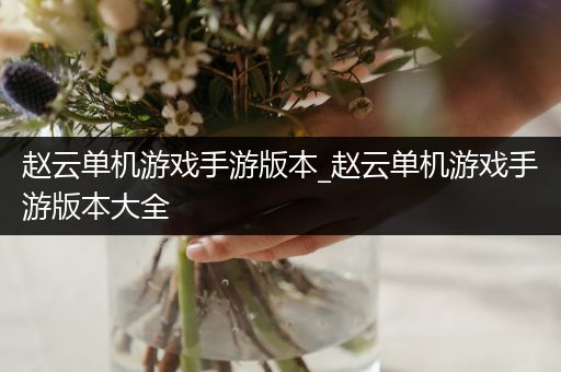 赵云单机游戏手游版本_赵云单机游戏手游版本大全