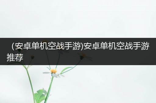 （安卓单机空战手游)安卓单机空战手游推荐