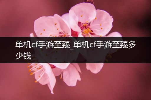 单机cf手游至臻_单机cf手游至臻多少钱