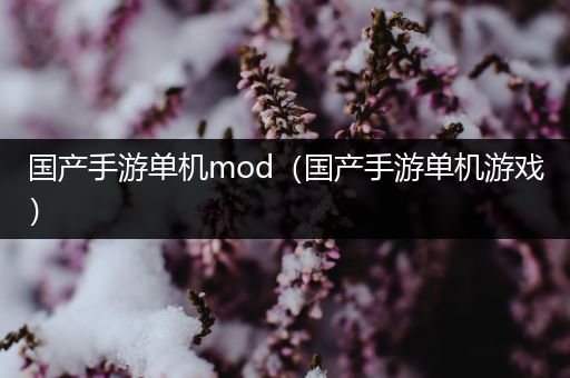 国产手游单机mod（国产手游单机游戏）