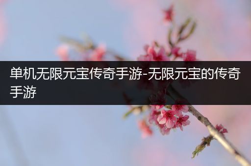 单机无限元宝传奇手游-无限元宝的传奇手游