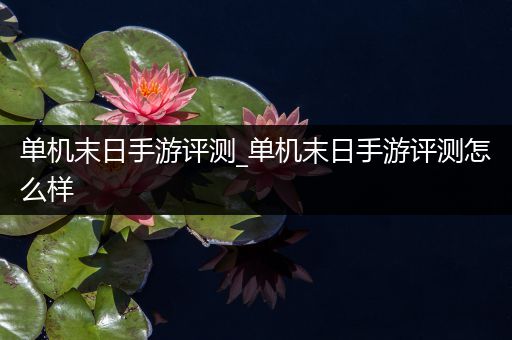 单机末日手游评测_单机末日手游评测怎么样