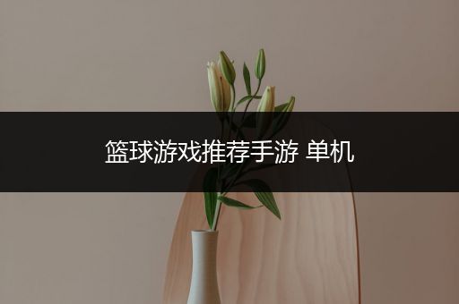 篮球游戏推荐手游 单机