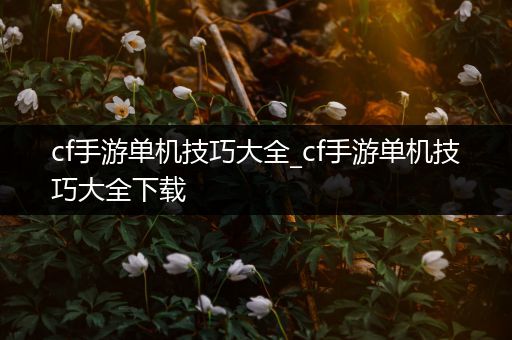 cf手游单机技巧大全_cf手游单机技巧大全下载