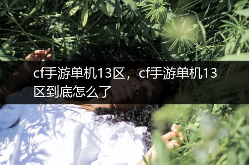 cf手游单机13区，cf手游单机13区到底怎么了