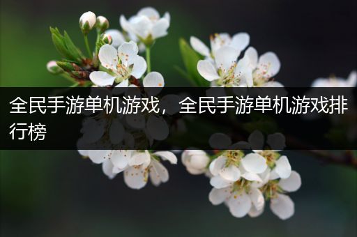 全民手游单机游戏，全民手游单机游戏排行榜