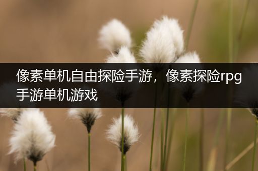 像素单机自由探险手游，像素探险rpg手游单机游戏