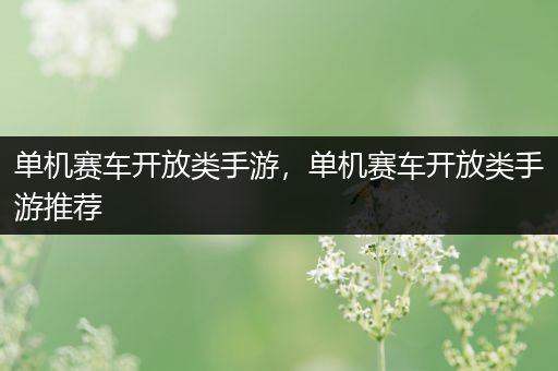 单机赛车开放类手游，单机赛车开放类手游推荐