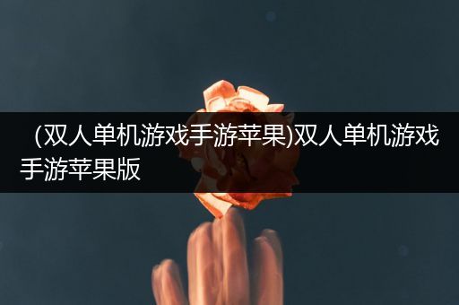 （双人单机游戏手游苹果)双人单机游戏手游苹果版