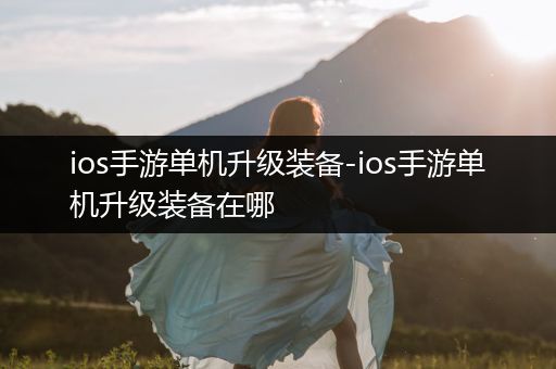 ios手游单机升级装备-ios手游单机升级装备在哪