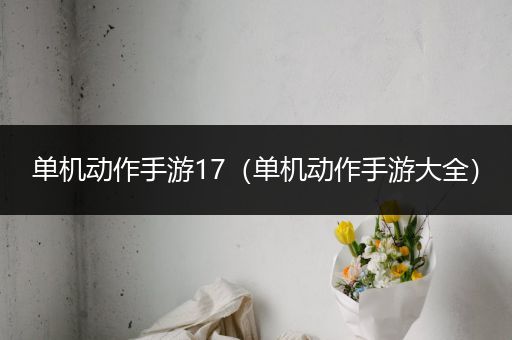 单机动作手游17（单机动作手游大全）