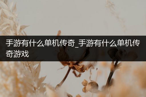 手游有什么单机传奇_手游有什么单机传奇游戏