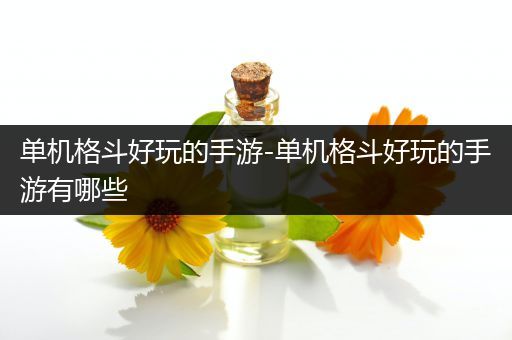 单机格斗好玩的手游-单机格斗好玩的手游有哪些