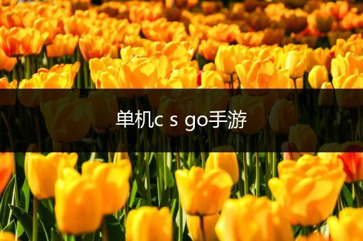 单机c s go手游