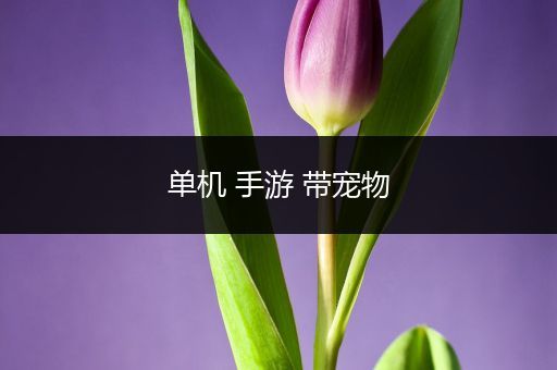 单机 手游 带宠物