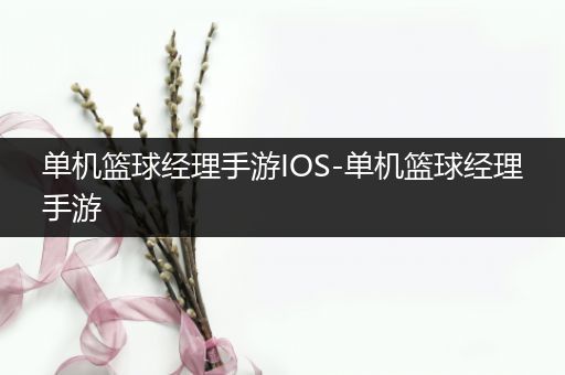 单机篮球经理手游IOS-单机篮球经理手游