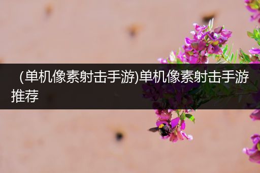 （单机像素射击手游)单机像素射击手游推荐