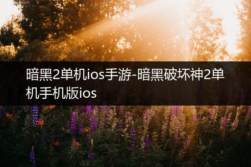 暗黑2单机ios手游-暗黑破坏神2单机手机版ios