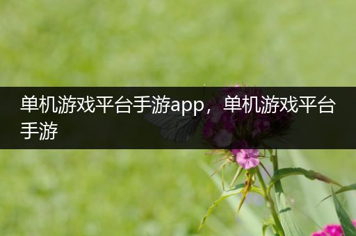 单机游戏平台手游app，单机游戏平台手游