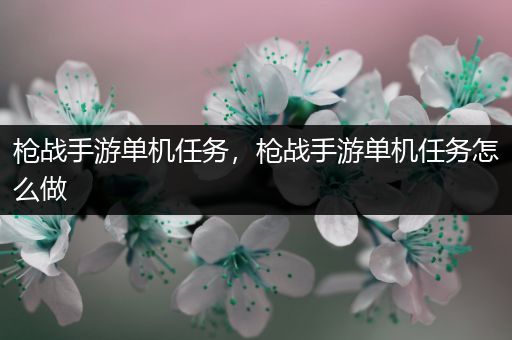 枪战手游单机任务，枪战手游单机任务怎么做