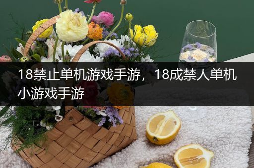 18禁止单机游戏手游，18成禁人单机小游戏手游