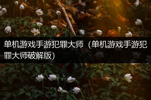 单机游戏手游犯罪大师（单机游戏手游犯罪大师破解版）