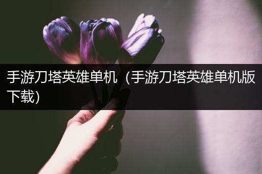 手游刀塔英雄单机（手游刀塔英雄单机版下载）