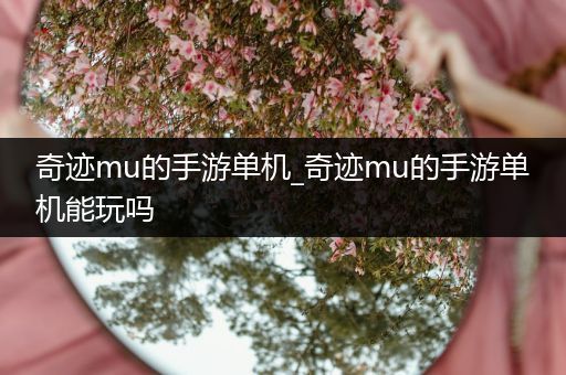 奇迹mu的手游单机_奇迹mu的手游单机能玩吗