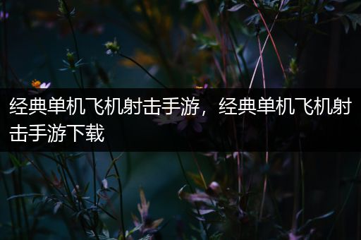 经典单机飞机射击手游，经典单机飞机射击手游下载