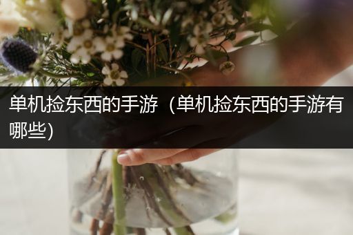 单机捡东西的手游（单机捡东西的手游有哪些）