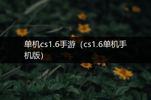 单机cs1.6手游（cs1.6单机手机版）