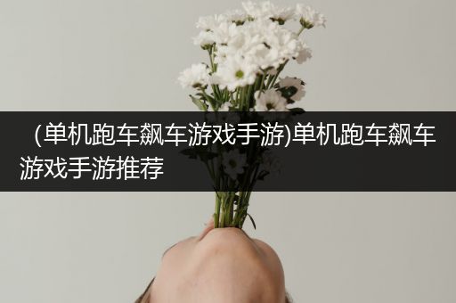 （单机跑车飙车游戏手游)单机跑车飙车游戏手游推荐